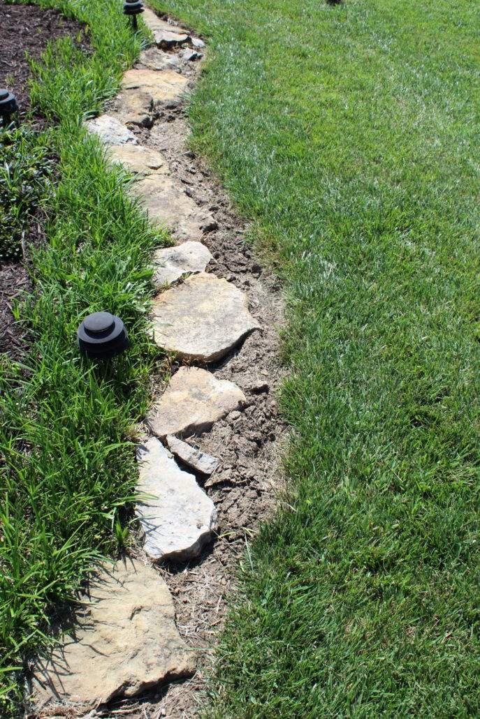 An example of mole tunnel damage along landscape border by PURE Lawn Management.