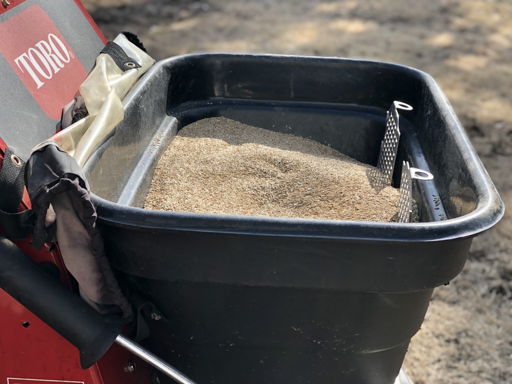 Fescue seed in a machine to seed a lawn by PURE Lawn Management